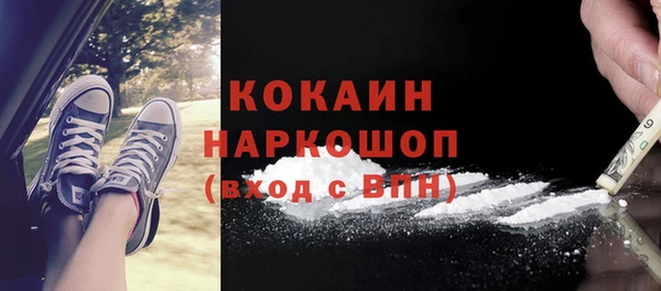 СК Алзамай