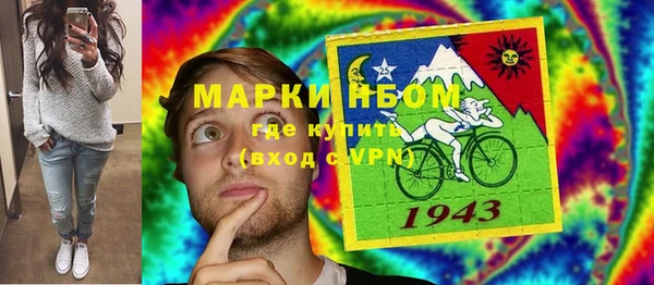 прущие грибы Нязепетровск