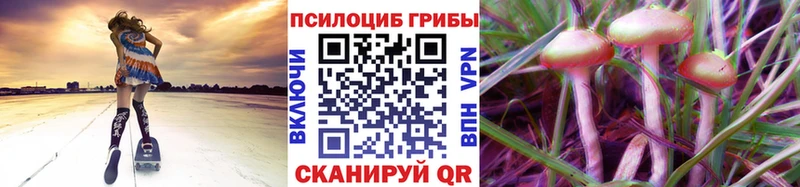 Галлюциногенные грибы прущие грибы  Мантурово 